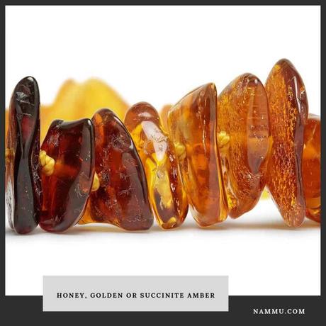 Amber: Fossilized Resin of Prehistoric Tree