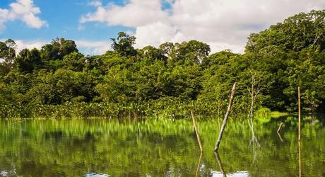 Enchanting Travels Ecuador Tours Amazon Yasuni National Park