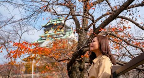 Enchanting Travels Japan Tours Osaka asian woman in the autumn garden with Osaka castle