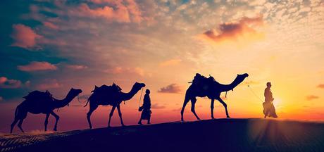 Things to Experience While You Are In Rajasthan