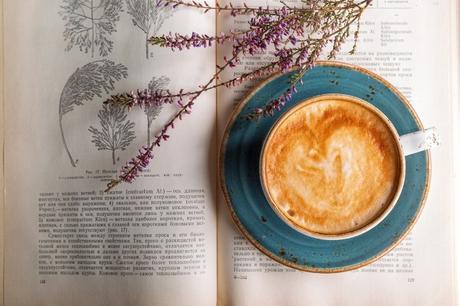 BOOK CAFES IN INDIA