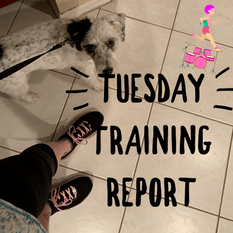 Tuesday Training (and Life) Report