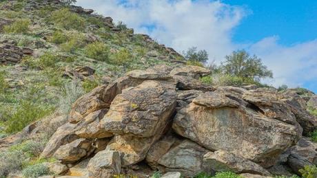 Tips for Hiking Pima Canyon at South Mountain Park Near Tempe