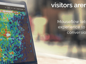 Mouseflow Review 2019: Turn Your Visitors Into Customers (Save $1200)