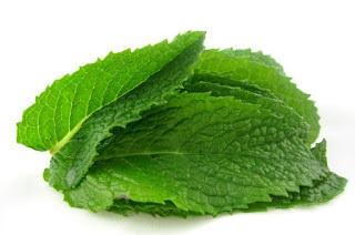 Mint Leaves