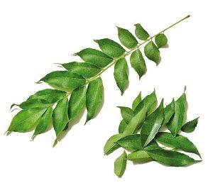 Curry Leaves