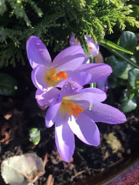 Six on Saturday 16-02-2019