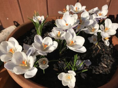 Six on Saturday 16-02-2019