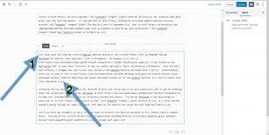 Screen shot showing Gutenberg post editor