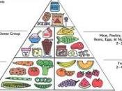 Food Pyramid Including Pregnancy Diet Chart