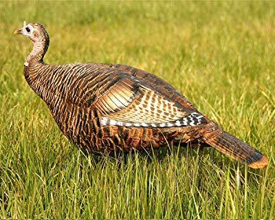 Dave Smith Decoys Leading Hen Turkey Decoy Review
