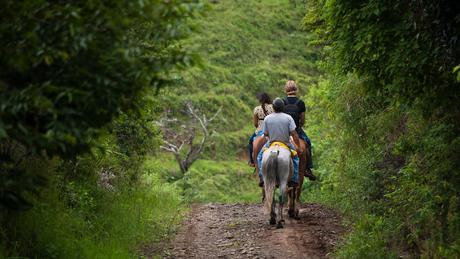 Marion-Mountain-Campground-Horseback-riding