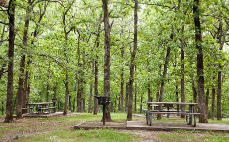 KNOB-NOSTER-STATE-PARK best campgrounds in missouri