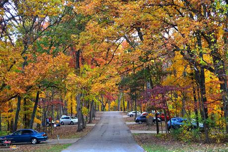 Babler-State-Park-Campground DR. EDMUND A. BABLER MEMORIAL STATE PARK