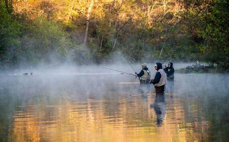 bennett-springs-state-park-camping BENNETT SPRING STATE PARK