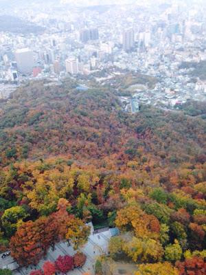 View on top of Seoul tower