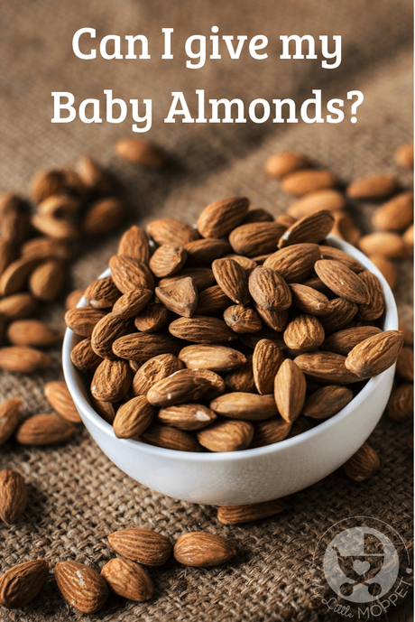 Almonds are well known for their health benefits, and many Moms give kids almonds every morning. But Can I give my Baby Almonds? Find out in this post.