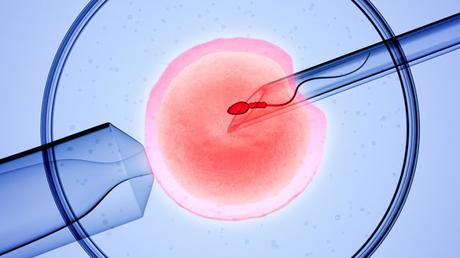 Role of Male Partner in IVF Treatment