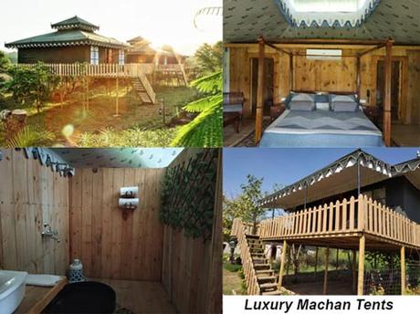 Luxury Machan Tents, Maa Ashapura Farm