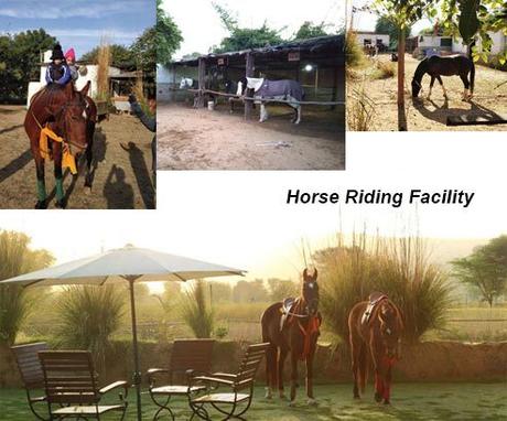 Horse Riding Facility, Maa Ashapura Farm