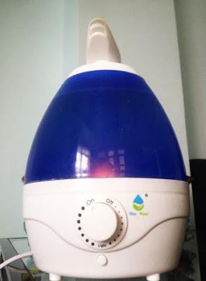 Dual Nozzle Ultrasonic Humidifier by Blue Water