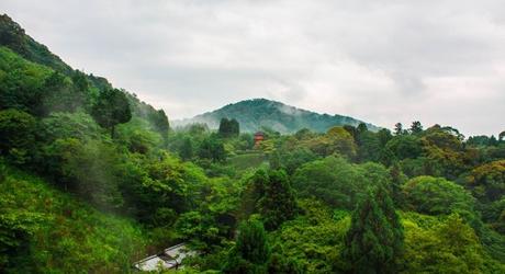 National park around Kiyomizu temple