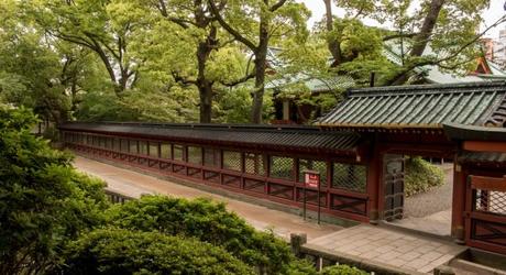 The grounds around Nezu shrine