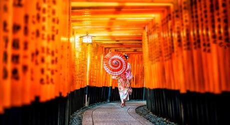 Torii gates at the Fushimi Inara shrine