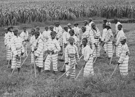 Southern jails made money leasing convicts for forced labor in the Jim Crow South. Circa 1903.