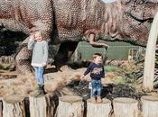Roarr Dinosaur Adventure Park Review