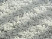 Identify Roof Damage Caused Hail Storm?