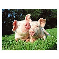 Image: YISUMEI 60X80 inches Blanket Comfort Warmth Soft Plush Throw for Couch Lovely Pig Grass