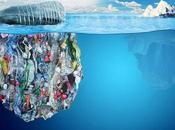 Plastics Also Found Responsible Causing Reproductive Problems Marine Animals