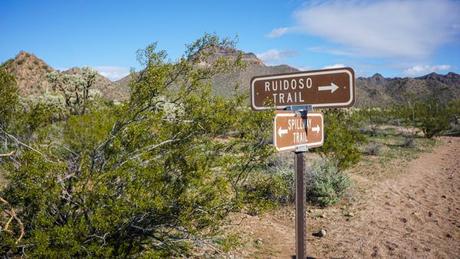 Biking Usery Mountain Regional Park with Arizona Outback Adventures
