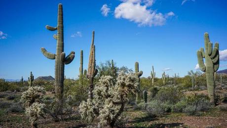 Biking Usery Mountain Regional Park with Arizona Outback Adventures