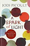 A Spark of Light- Jodi Picoult