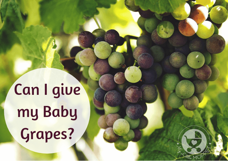 When it comes to grapes, many Moms have this query: Can I give my baby grapes? Read on to find out when and how to feed your baby this yummy fruit.