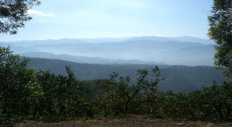 3 Visually Stunning Sights in Hsinchu Province of Taiwan