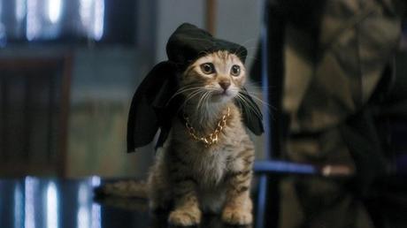 Top 10 Kitties in Cinema