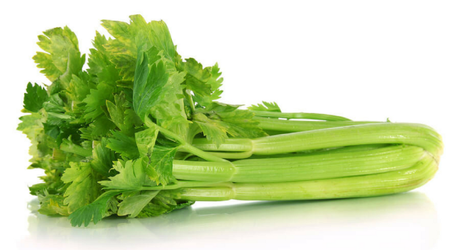 Can Dogs Eat Celery? Cooked vs. Uncooked Celery Which is Better For Your Pets?
