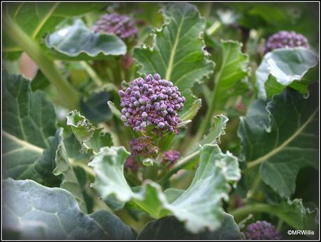 It's PSB time again!