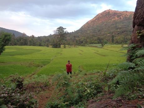 162) Kodachadri & Kavaledurga Trek: (1,2,3,4/11/2018)