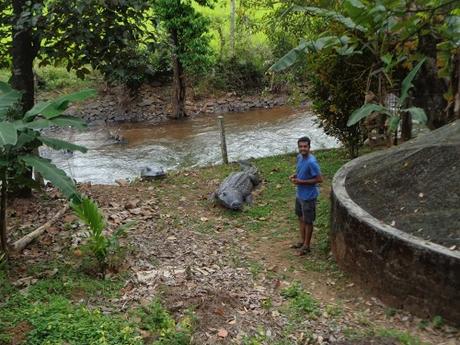 162) Kodachadri & Kavaledurga Trek: (1,2,3,4/11/2018)