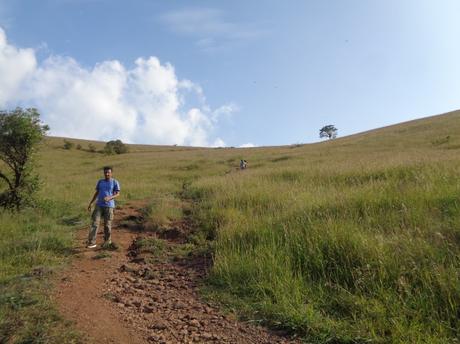 162) Kodachadri & Kavaledurga Trek: (1,2,3,4/11/2018)