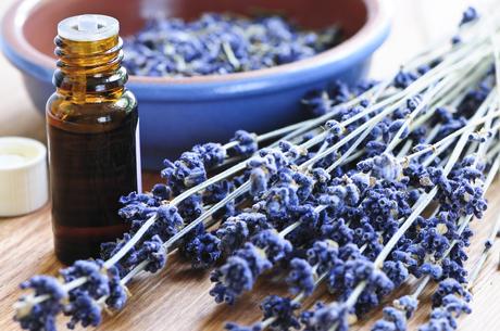 Do You Smell That? The Health Benefits Of Aromatherapy