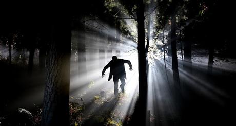 Image: Frankenstein in the Forest, by Etienne Marais on Pixabay