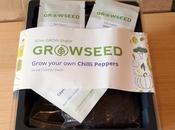 Product Review: Growseed Chilli-growing