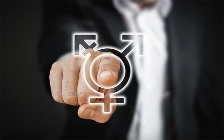 The Changing Landscape of “Gendered” Career Paths