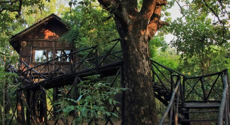 Enchanting Travels India Bandhavgarh Tree House Hideaway(Pugdundee Safari) Outdoor