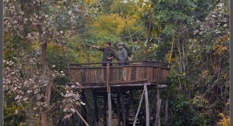 Enchanting Travels India Bandhavgarh Tree House Hideaway(Pugdundee Safari) Outdoor